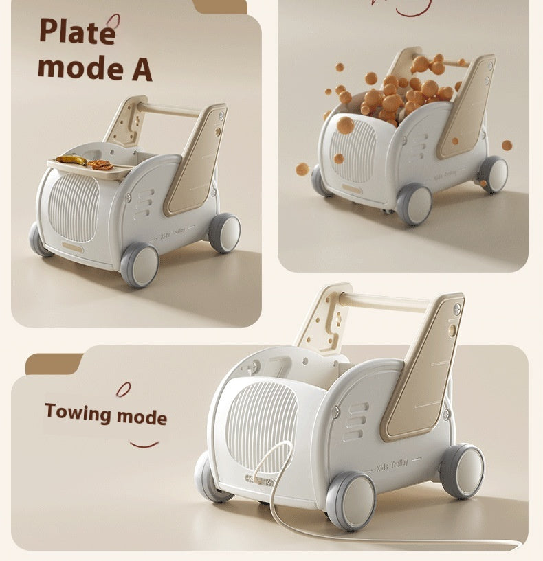 5-in-1 Evolution Walker